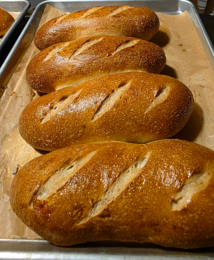 Hoagie Rolls