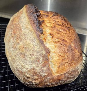 Sourdough